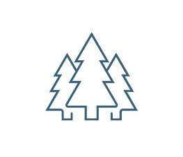Outline of three pine trees with zigzag branches.